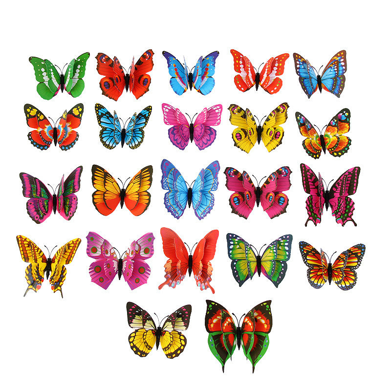 Shinuby butterfly