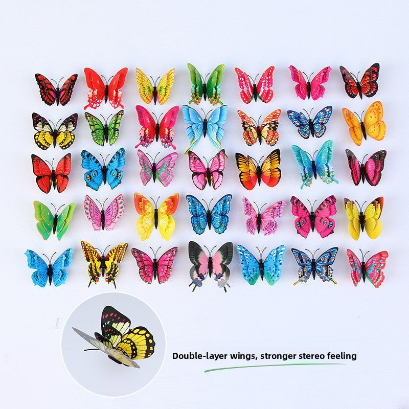 Shinuby butterfly