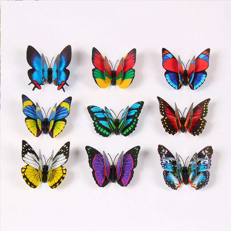 Shinuby butterfly