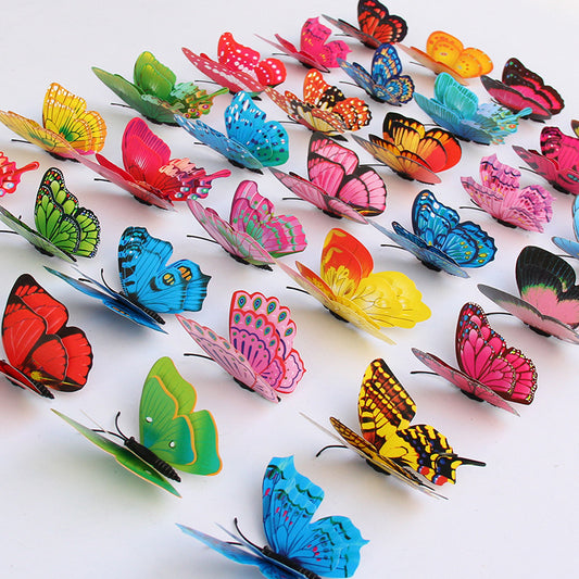 Shinuby butterfly